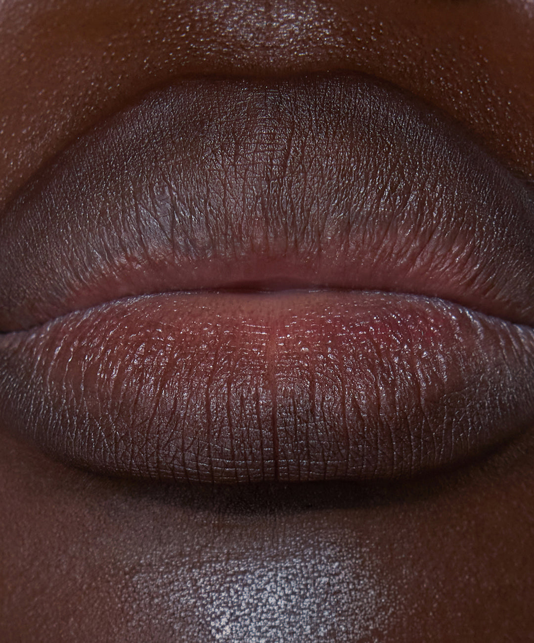 Lip Sculpt