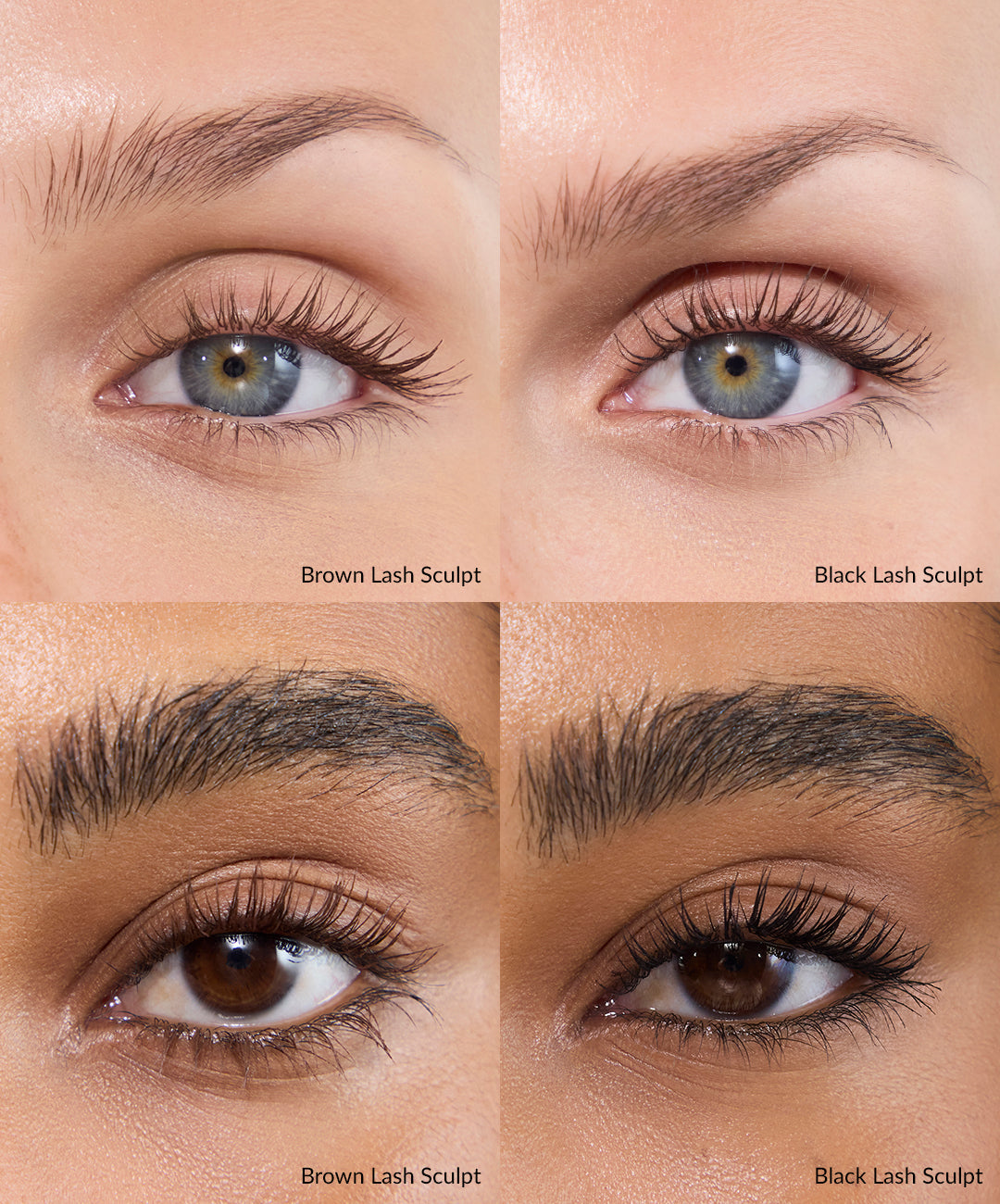 Lash Sculpt